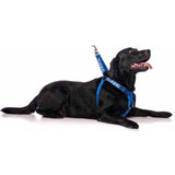 Friendly Dog Collars Strap Harness Training