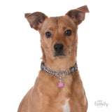 My Family The Queen ID Tag Charm Model