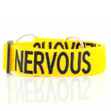 Friendly Dog Collars Collar Nervous