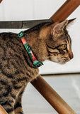 Zee.Cat Bali Collar