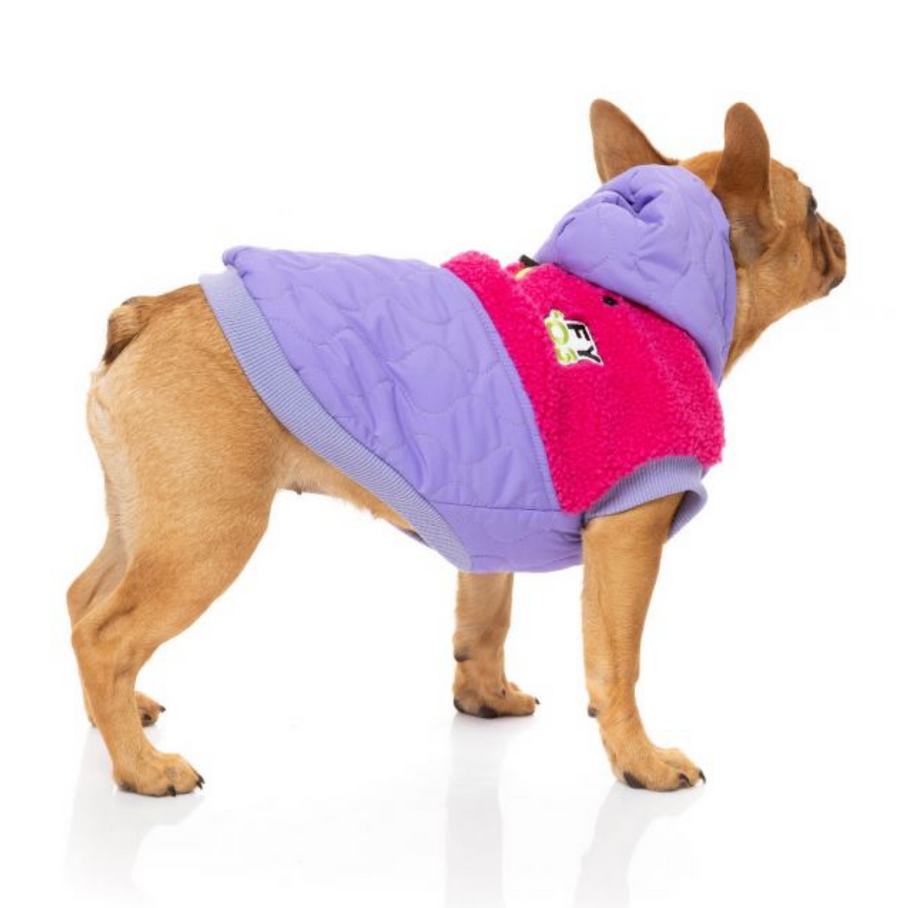 Teddy fresh hoodie dog shop