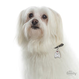 My Family Friends Maltese ID Tag Charm