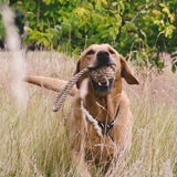 Beco Hemp Rope Ball with Loop