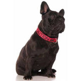 Friendly Dog Collars Caution Clip