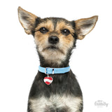 My Family I Love My Dog Heart ID Tag Charm Model