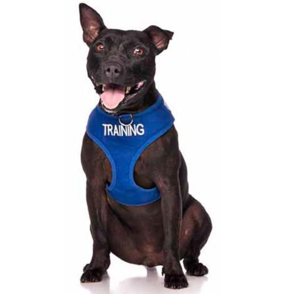 Friendly Dog Collars Vest Harness Training