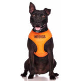 Friendly Dog Collars Vest Harness No Dogs
