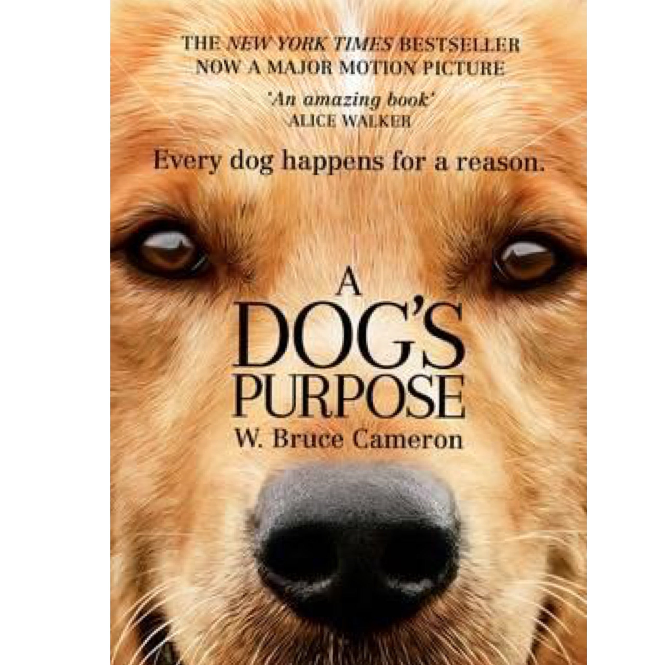 A Dogs Purpose Paperback All Things Canine1