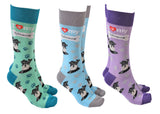 Dog Society Socks Schnauzer