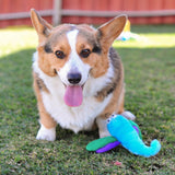 Zippy Paws Dragonfly
