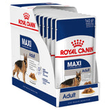 Royal Canin Maxi Adult 10 x 10g Tray
