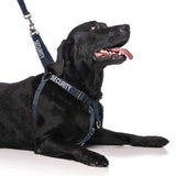 Dog Harness Strap Friendly Dog Collars Security