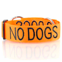 Friendly Dog Collars Collar No Dogs