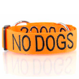 Friendly Dog Collars Collar No Dogs