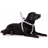 Friendly Dog Collars Vest Harness Blind Dog