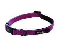 Huskimo Altitude Signature Collar Aurora