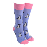 Sock Society Bow Tie Cats Lavender