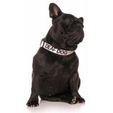 Friendly Dog Collars Clip Collar Deaf Dog