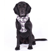 Dog Harness Mog & Bone Tropical Leaf Black/White