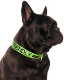 Friendly Dog Collars Friendly Clip Collar