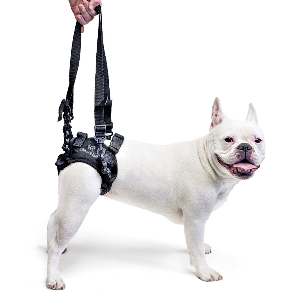 Walkin Pets Lift Rear Harness