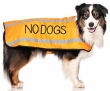 Friendly Dog Collars Coat No Dogs
