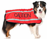 Friendly dog Collars Coat Caution