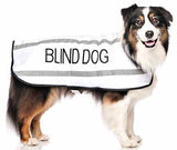 Friendly Dog Collars Coat Blind Dog