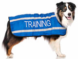 Dog Friendly Collars Coat Training