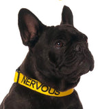 Friendly Dog Collars Nervous Clip Collar