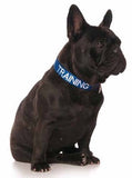 Friendly Dog Collars Clip Collar Training