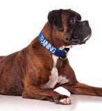 Friendly Dog Collars Semi Slip Collar Training