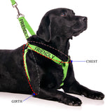 Friendly Dog Collars Friendly Harness